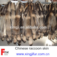 Chinese dressed raccoon dog skin